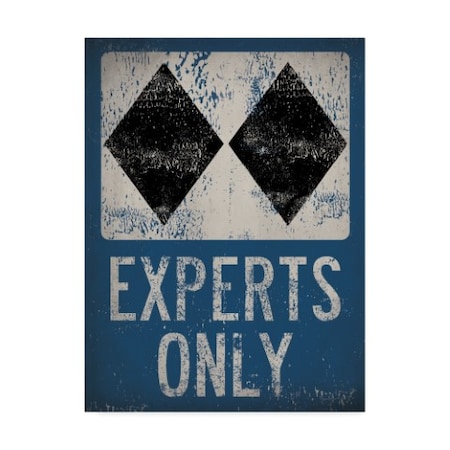 Ryan Fowler 'Experts Only Blue' Canvas Art,35x47